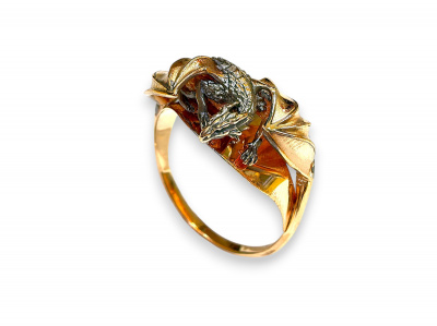 transparent-Photoroom (41)