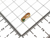 IMG_20260702_182212_edit_332610065566242
