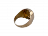 transparent-Photoroom (4)