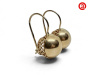 transparent-Photoroom - 2026-10-14T171821.387