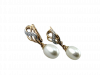 transparent-Photoroom (1)